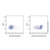 cd44 rat mab (pe-cy5) (c007b-574923)