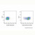 cd44 rat mab (af647) (c007b-574934)