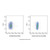 cd31 rat mab (af488) (c007b-574952)
