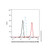 mouse igg (af555) (c007b-574968)