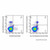 nkg2d/cd314 rat mab (af488) (c007b-575459)