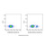 cd40 mouse mab (pe-cy7) (c007b-575903)