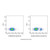 cd40 mouse mab (pe-cy7) (c007b-575905)