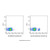 cd40 mouse mab (apc-cy7) (c007b-575909)
