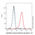 e cadherin/cd324 rat mab (biotin) (c007b-576424)