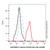 e cadherin/cd324 rat mab (af488) (c007b-576430)