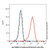 e cadherin/cd324 rat mab (pe) (c007b-576446)