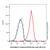 e cadherin/cd324 rat mab (pe-cy7) (c007b-576452)