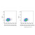 cd48 armenian hamster mab (af700) (c007b-576716)
