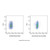 cd31 rat mab (af405) (c007b-576718)