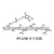 o-nitrobenzylated polyvinyl alcohol (pvanb) (c007b-583811)