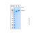 recombinant human plexin c1 protein (c007b-587204)