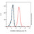 lc3b mouse mab (c007b-591042)