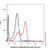 cd200/ox2 rat mab (pe-cy7) (c007b-591097)