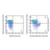 epcam/cd326 rat mab (pe-cy5) (c007b-591170)