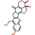 7-ethyl-10-hydroxycamptothecin (c062b-069816)