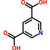 3,5-pyridinedicarboxylic acid (c062b-072279)