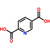 2,5-pyridinedicarboxylic acid