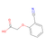 (2-cyanophenoxy)acetic acid