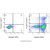 annexin v-fitc/pi apoptosis detection kit (c007b-601172)