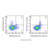 gitr/cd357 rat mab (pe-cy7) (c007b-601399)