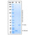 recombinant human gdnf protein (c007b-604862)