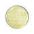 murashige and skoog medium buffered, 50 l