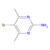 2-amino-5-bromo-4,6-dimethylpyrimidine (c007b-606531)