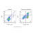 annexin v-apc/dapi apoptosis detection kit (c007b-608054)