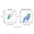 annexin v-pe-cy5/dapi apoptosis detection kit (c007b-608058)