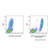 recombinant cd15/ssea-1 antibody (af488) (c007b-609751)