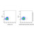 rat igg2a-kappa (af680), anti-spike rbd (c007b-609830)