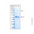 recombinant human cathepsin c/dppi protein (c007b-676795)
