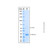 recombinant human tank/traf2 protein (c007b-676828)