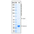 recombinant human jak2 protein (c007b-676960)