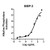 humankine recombinant human bmp-2, 10ug