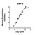 humankine recombinant human bmp-4, 10ug