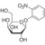 onpg (2-nitrophenyl-á-d-galactopyranoside), 10g