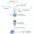 hook -sulfo-nhs-ss-biotin kit, 10 reactions