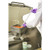 steriware powder thief, 500mm, 1ml, sterile