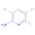 2-amino-3,5-dichloro-6-methylpyridine (c09-0719-089)
