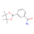 3-aminocarbonylphenylboronic acid, pinacol ester