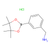 3-aminomethylphenylboronic acid, pinacol ester hydrochloride (c09-0723-647)