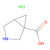 3-azabicyclo[3.1.0]hexane-1-carboxylic acid hydrochloride