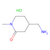 4-(aminomethyl)-1-methylpiperidin-2-one hydrochloride (c09-0724-181)