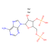 adenosine 3′,5′-diphosphate disodium salt (c09-0733-795)
