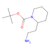 2-(aminoethyl)-1-n-boc-piperidine (c09-0739-071)