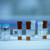aldosterone mouse mab (c09-0739-798)