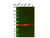 annexin a1/anxa1 mouse mab (c09-0740-071)