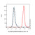 epcam/cd326 mouse mab (c09-0741-011)
